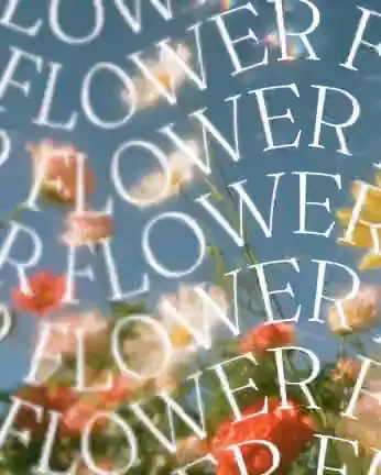 Template “Flower wave” from the Swash community