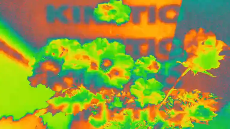Template “Gradient Map” from the Swash community